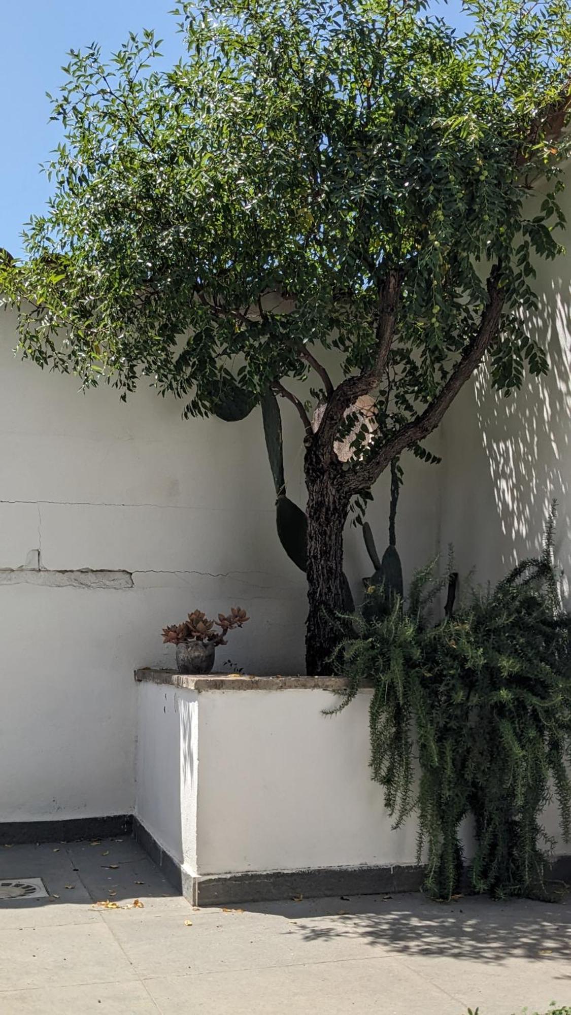 Ferienwohnung The Cosy Nest Pignataro Maggiore Exterior foto